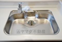 広々とした凸型シンクに洗剤ポケットを標準装備。大きなお鍋など洗いやすいです。