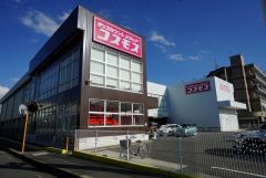 ディスカウントドラッグコスモス　三苫店