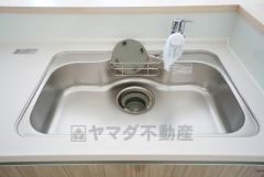 広々とした凸型シンクに洗剤ポケットを標準装備。大きなお鍋など洗いやすいです。