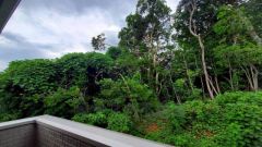 周りに高い建物がないので眺望良好です。