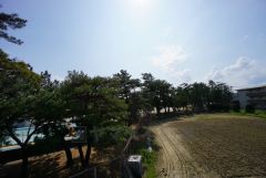 バルコニーからは緑豊かな景色を楽しむことが出来ます。