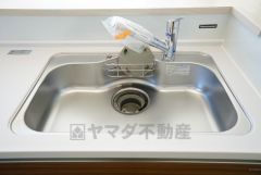 広々とした凸型シンクに洗剤ポケットを標準装備。大きなお鍋など洗いやすいです。