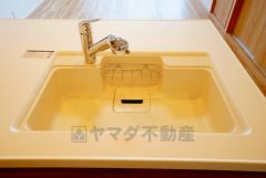 広々とした凸型シンクに洗剤ポケットを標準装備。大きなお鍋など洗いやすいです。