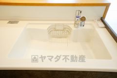 広々とした凸型シンクに洗剤ポケットを標準装備。大きなお鍋など洗いやすいです。