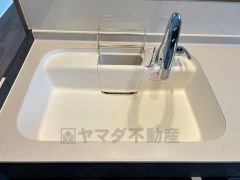 広々とした凸型シンクに洗剤ポケットを標準装備。大きなお鍋など洗いやすいです。