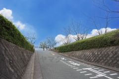 河東中学校