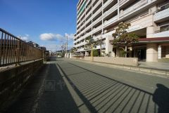 前面道路は広く、車同士がすれ違うスペースが十分にあります。