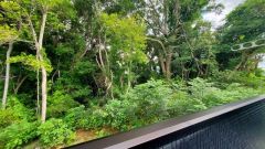 バルコニーからは緑豊かな景色を楽しむことが出来ます。