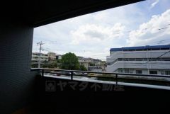 日差しが遮られないように隣家との間に距離を設けています。住宅地ですのでご近所様とコミュニケーション取りやすい距離感が良いですね。