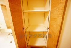 便利な洗面室収納。散らかりがちなバスタオルや清掃用品、化粧品や予備のシャンプー等もきれいに整頓できますね。