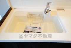 広々とした凸型シンクに洗剤ポケットを標準装備。大きなお鍋など洗いやすいです。