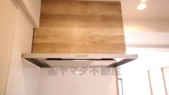 お手入れが簡単なスリム型レンジフードです。調理により発生する油煙や臭いを吸い込み、屋外へ排気してくれます。