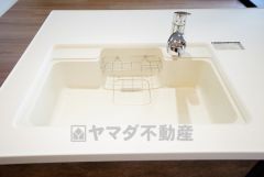 広々とした凸型シンクに洗剤ポケットを標準装備。大きなお鍋など洗いやすいです。