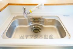 広々とした凸型シンクに洗剤ポケットを標準装備。大きなお鍋など洗いやすいです。