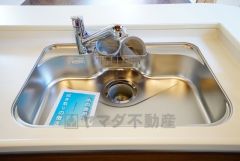 広々とした凸型シンクに洗剤ポケットを標準装備。大きなお鍋など洗いやすいです。