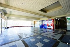 落ち着いた雰囲気の広々としたロビーです。自販機も設置されています。セキュリティ充実。安心のできる暮らしをご提供致します。