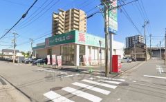 ドラッグセイムス　大分金池南店