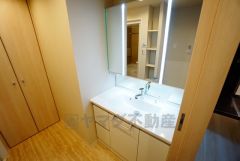 収納豊富の洗面台です。家族の洗面道具、ヘアセット用品に洗濯洗剤等。洗面所に置きたい物はたくさんありますが、この収納力なら安心ですね＾＾