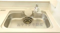 広々とした凸型シンクに洗剤ポケットを標準装備。大きなお鍋など洗いやすいです。