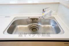 色も形もキレイなシンクは、広さも確保しているので、大きめの鍋も簡単に洗えます。