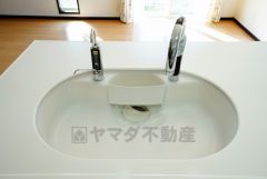 お手入れのしやすいシンク。