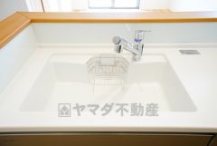広々とした凸型シンクに洗剤ポケットを標準装備。大きなお鍋など洗いやすいです。