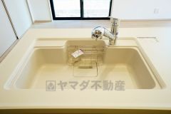 広々とした凸型シンクに洗剤ポケットを標準装備。大きなお鍋など洗いやすいです。