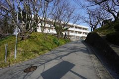 南郷小学校