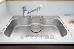 広々とした凸型シンクに洗剤ポケットを標準装備。大きなお鍋など洗いやすいです。