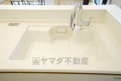 広々とした凸型シンクに洗剤ポケットを標準装備。大きなお鍋など洗いやすいです。