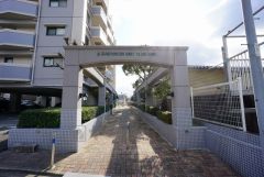 エントランスの外まで管理が行き届いた綺麗なマンションです。