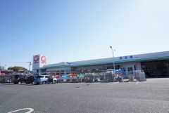 コメリ　ハード&グリーン津屋崎店