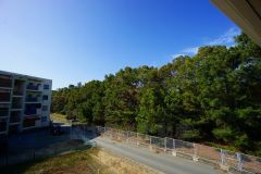 バルコニーからは緑豊かな景色を楽しむことが出来ます。