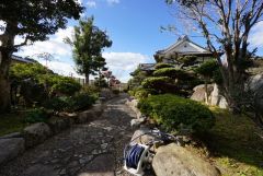 門をくぐると庭園の横を進む心地よいアプローチが玄関へと続きます。景色を眺めながら歩ける和の趣溢れる贅沢な動線です。