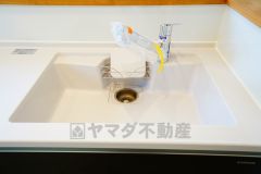 広々とした凸型シンクに洗剤ポケットを標準装備。大きなお鍋など洗いやすいです。