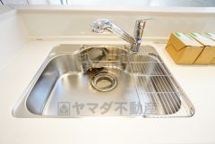 広々とした凸型シンクに洗剤ポケットを標準装備。大きなお鍋など洗いやすいです。