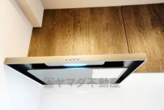 お手入れが簡単なスリム型レンジフードです。調理により発生する油煙や臭いを吸い込み、屋外へ排気してくれます。