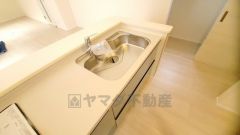 広々とした凸型シンクに洗剤ポケットを標準装備。大きなお鍋など洗いやすいです。