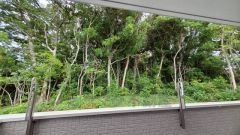 バルコニーからは緑豊かな景色を楽しむことが出来ます。