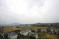 高層マンションならではの眺望。バルコニーからは緑豊かな景色を楽しむことが出来ます。南向きで、日当たりも良好。