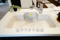 広々とした凸型シンクに洗剤ポケットを標準装備。大きなお鍋など洗いやすいです。