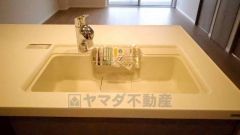 広々とした凸型シンクに洗剤ポケットを標準装備。大きなお鍋など洗いやすいです。