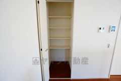 同仕様写真。まとめ買いしてもこの収納量なら心配要らずのパントリー。調理家電や食品のストックをすっきりまとめられ、キッチン周りを広々使えます。