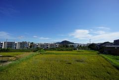 バルコニーからは緑豊かな景色を楽しむことが出来ます。