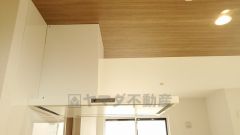 お手入れが簡単なスリム型レンジフードです。調理により発生する油煙や臭いを吸い込み、屋外へ排気してくれます。