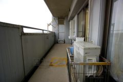 南側に面した大型のバルコニーは日当たり良好です。お洗濯物も気持ちよく干せそうです。日光浴をしたり、星を眺めたりも良いですね^^