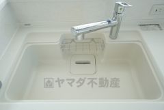 広々とした凸型シンクに洗剤ポケットを標準装備。大きなお鍋など洗いやすいです。