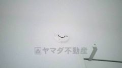 火災による煙や熱を感知して、警報音やブザー等で火災の発生を知らせてくれる火災警報器。