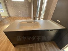広々とした凸型シンクに洗剤ポケットを標準装備。大きなお鍋など洗いやすいです。