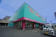 ディスカウントドラッグコスモス　那珂店